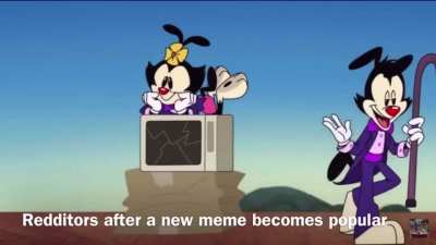The meme was funny, You don’t have to repeat it for the 17,000th time