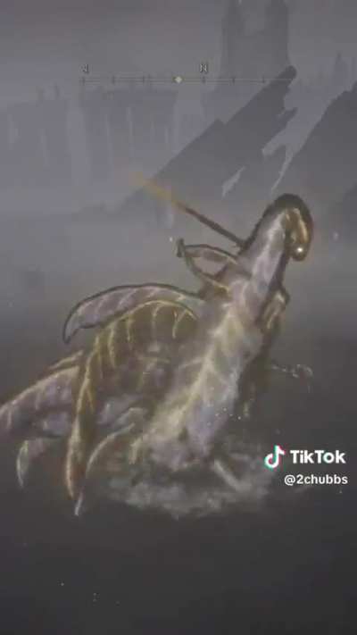 I have never played elden ring ever before. Is this what happens after a person plays elden ring?