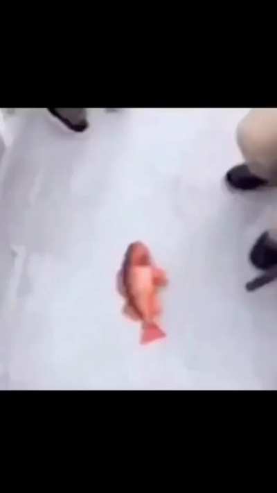 😱😱😱