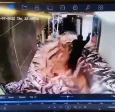 Peixes