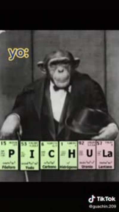 1553619257