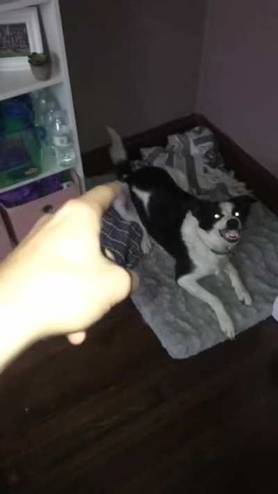 He's very sensitive about his ass