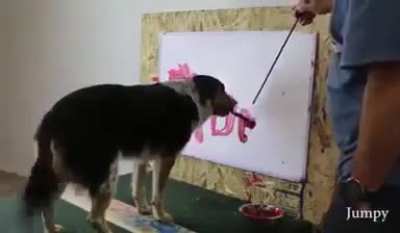 Dog can write