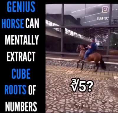 Impressive animal