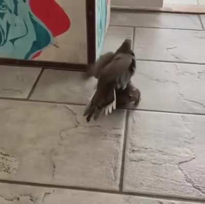 Ну что, чучело, поеха<wbr>ли?