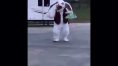 Its a long vid