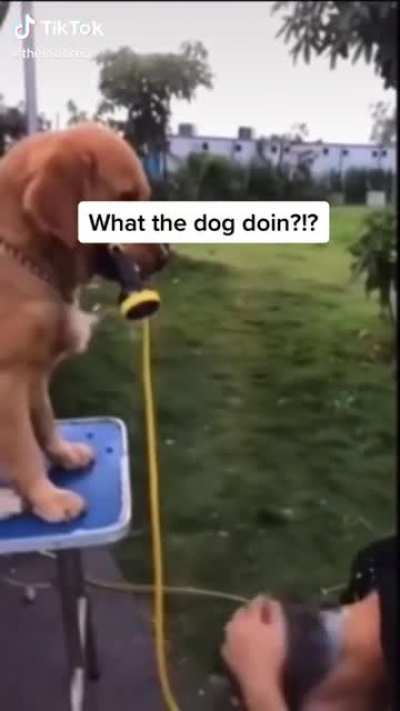 Blursed Shower
