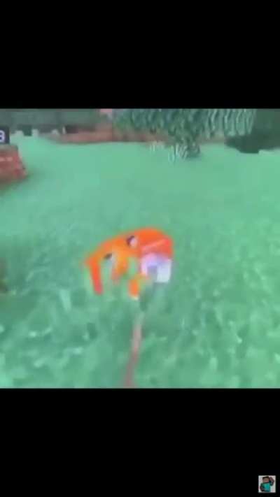 “This is my fox Walter”
