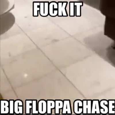 rule