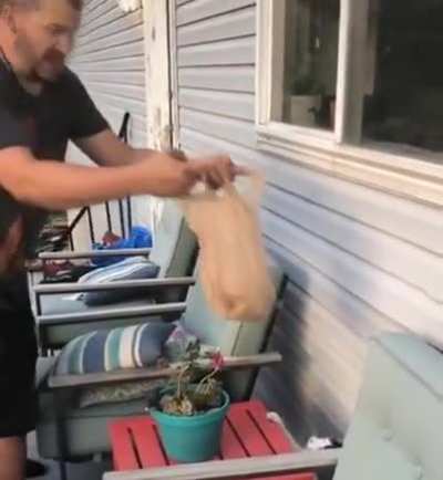Cat tosses mice into the bag . Catch of the day