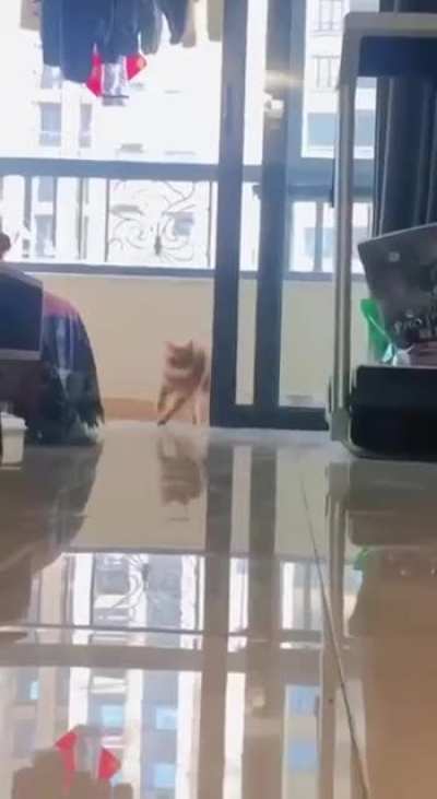 Smell breakfast