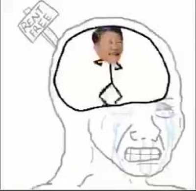大脑升级壬，，，