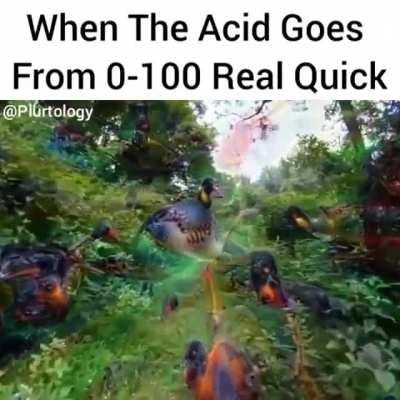 Thats one hell of a trip