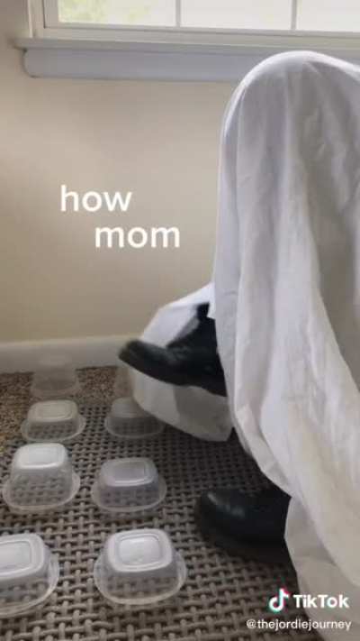 Bunny has questions