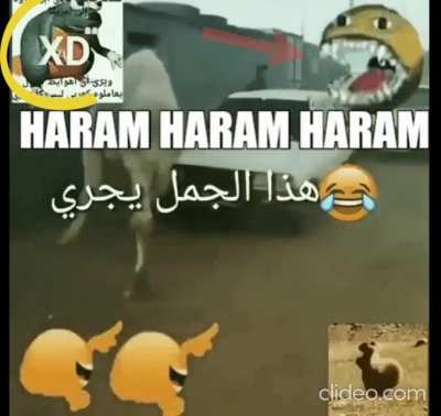 Haram Haram Haram