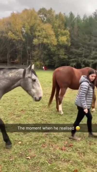 Maybe Maybe Maybe