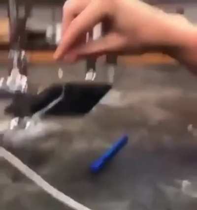EEE-