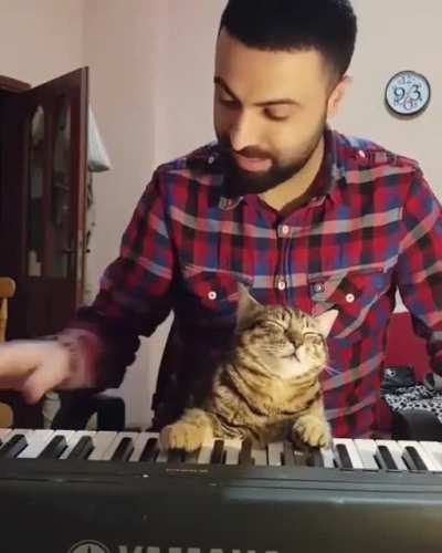 Piano co-player