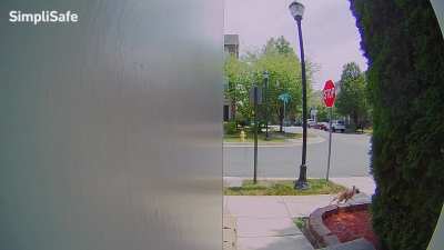 This just happened. Peak door cam action.