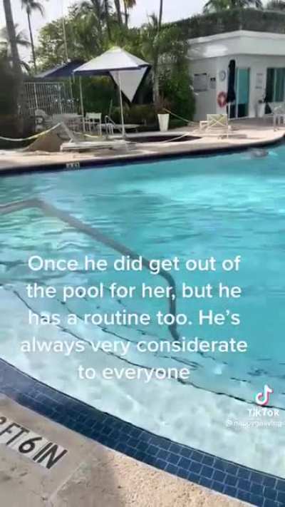 Orthodox Swimmer who’s upset there’s a man swimming in the pool goes full Karen with, “Call the Manager”