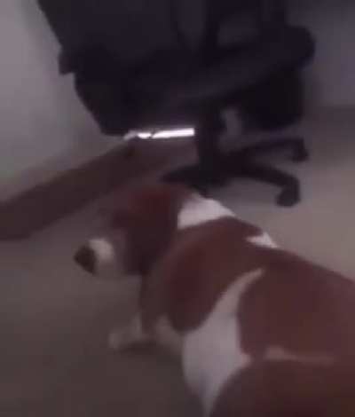 An interesting title