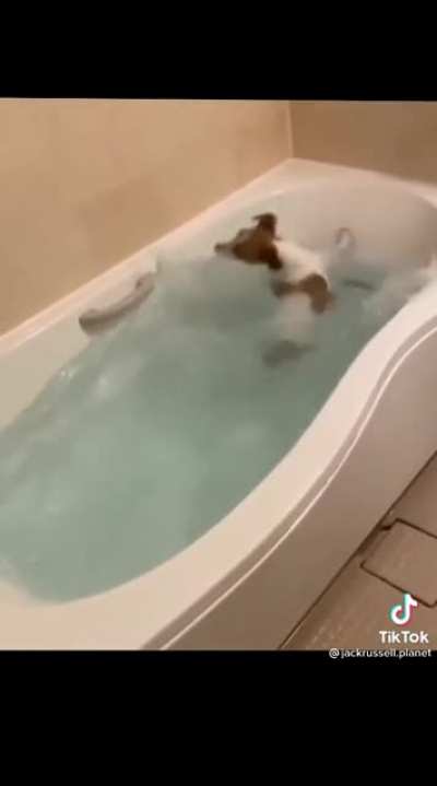 Going for a swim