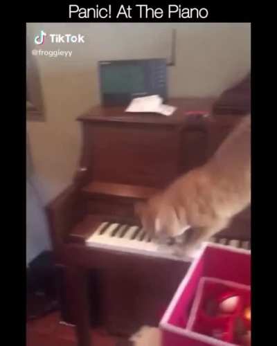 Best Pianist I've ever seen...