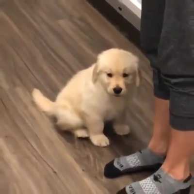 Won’t leave you until I’m Kissed