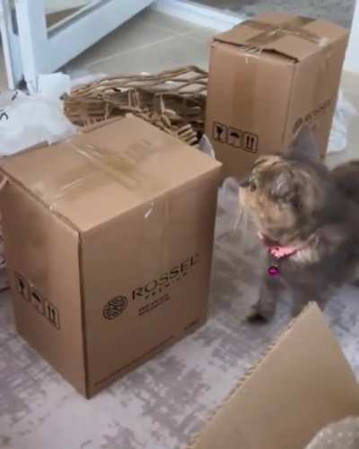 A good helper