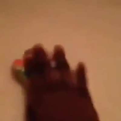 shitposting - Video #1677