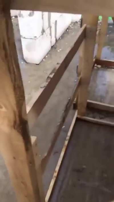 OSHA approved 