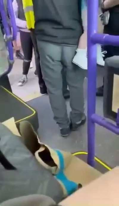 Glider Bus