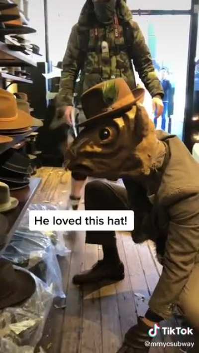 Furry🐭irl