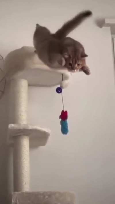 chooooomb