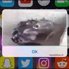 Is this real?