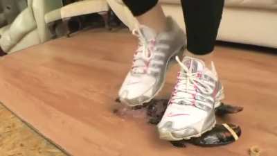 Let's make sneakers streak today , sneakers 2