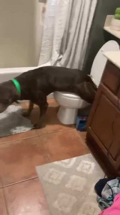 Always forgets to flush…