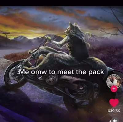 Turkish lore 🐺