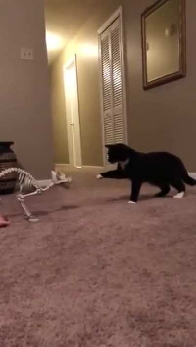Surprise