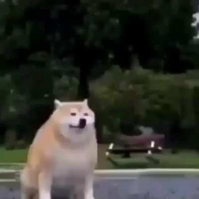 mati cuando la lata se cayó por segunda vez: