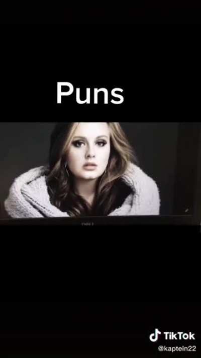 P U N S