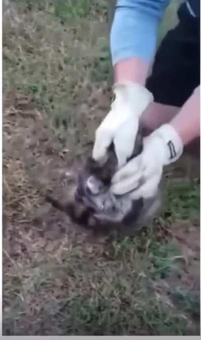 Little dude took a deep breath before that scream