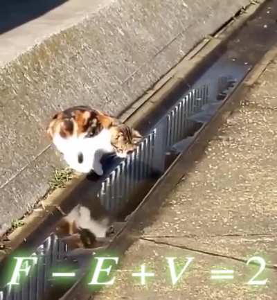 Cat logic