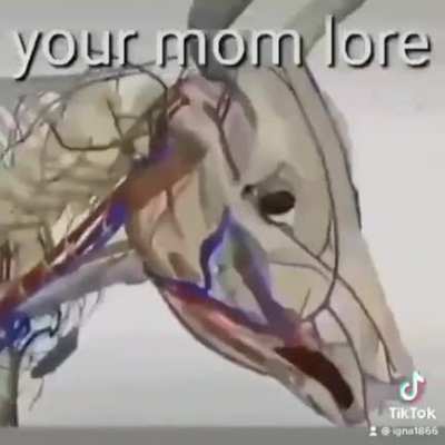 My when your mom