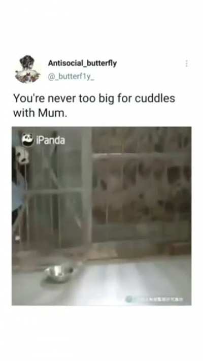 That's right