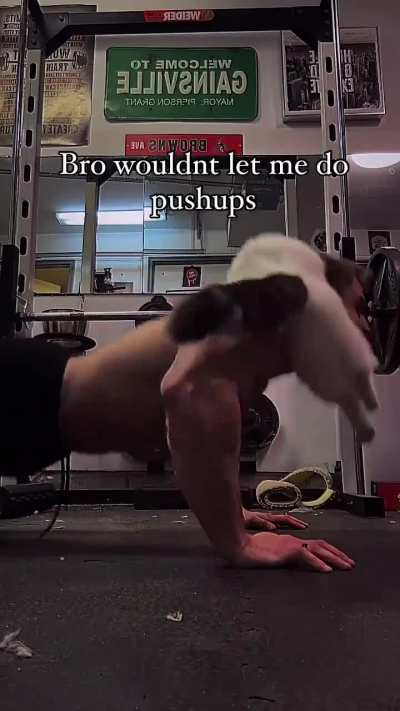 Workout cat