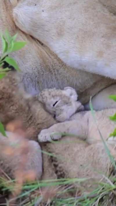 The safest place
