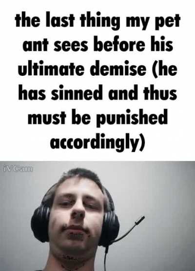 ant