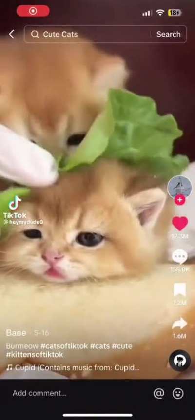 Im hungry
