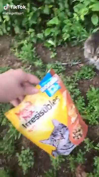No, It's Meow Mix